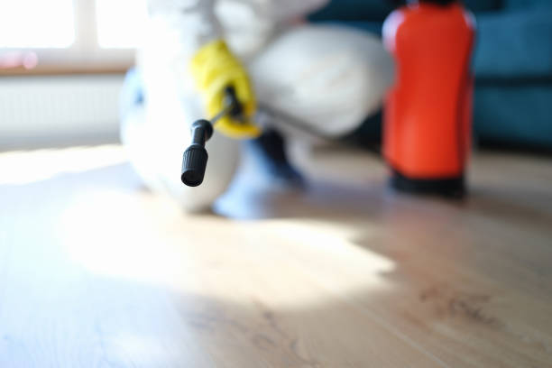 Best Mold Remediation for Healthcare Facilities  in Orleans, IN