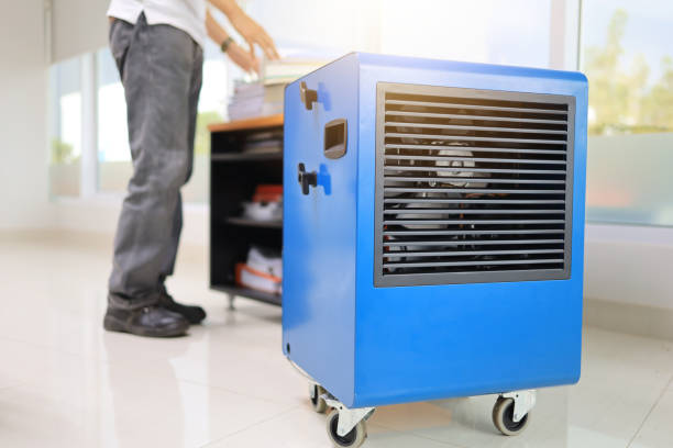 Best Residential Mold Inspection & Testing  in Orleans, IN